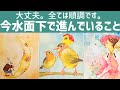 【大丈夫👍】時期も出しました。今水面下で進んでいること🙆✨