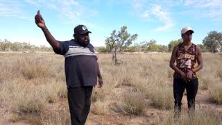 Rodna Cultural Tours - Npy