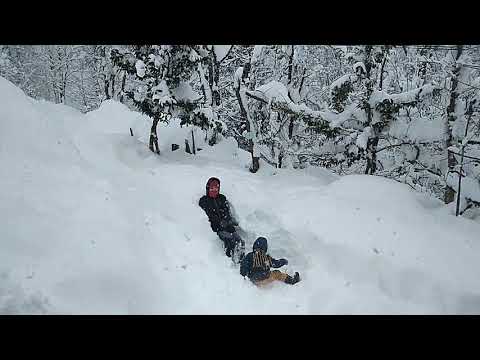 ანდრია მახარაძე