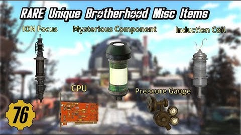 RARE Unique Brotherhood Misc Items - Fallout 76