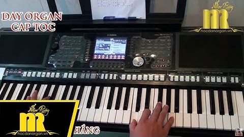 Học Đàn Organ Cấp Tốc TPHCM - TÙY HỨNG LÝ QUA CẦU - Trung Tâm Nhạc Rừng