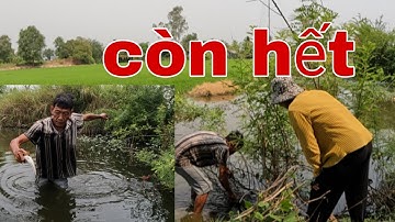 Phát Hiện Được Chổ Này Giăng Lưới Quá Êm  Tư cà Khịa Mò Dính Ca Lóc Trong Lưới Quá Vui