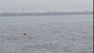 今日新聞／海軍107年春巡獵雷操演