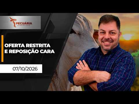 Cenário é de alta para arroba do boi gordo nos próximos seis meses , puxada pela oferta limitada...