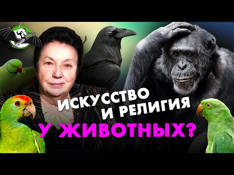 Мыслят ли животные? Зоя Зорина. Ученые против мифов 12-12