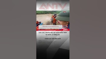Giải cứu 3 người mắc kẹt giữa rừng tràm do nước lũ dâng cao #antv #shorts #baolu