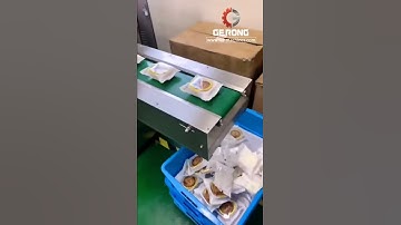 Moon cake automatic tray placing feeding flow type horizontal packaging machine