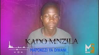 KADO MNZILA - MAPOKEZI YA DIWANI