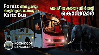 Kozhikode to Bangalore Night Bus | ബസ് തടഞ്ഞുനിർത്തി കൊമ്പന്മാർ | Ksrtc bus trip | Airavat | free20