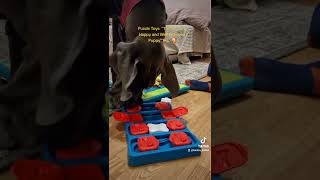 Puzzle toys for dog #puzzlegame #shorts #puppies #greatdane #puzzletoys #dogs #gamefordogs screenshot 4