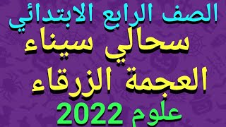 شرح(سحالي سيناء العجمة الزرقاء) علوم للصف الرابع الابتدائي المنهج الجديدالترم الأول 2022/حل قطرالندى