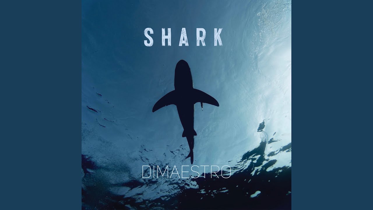 Watch Shark on YouTube Watch Shark on YouTube