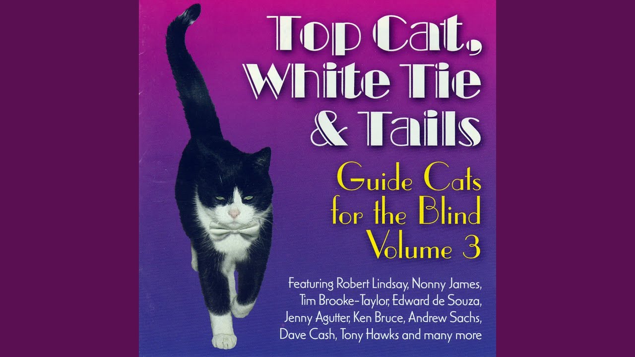 Top Cat, White Tie and Tails auf YouTube ansehen Top Cat, White Tie and Tails auf YouTube ansehen