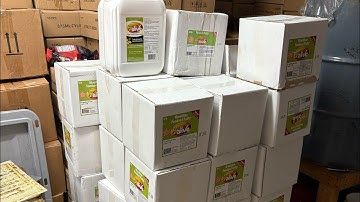 How to winter your bees with success! Hive alive !!!