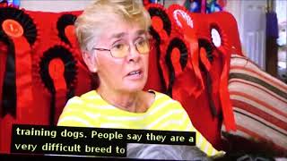 Britains Favourite Dogs clip from TV by Joan Clarke 206 views 5 years ago 2 minutes, 58 seconds