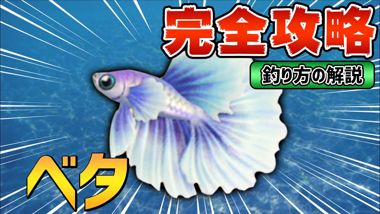 選択した画像 錦魚 釣り方 折り紙 動物