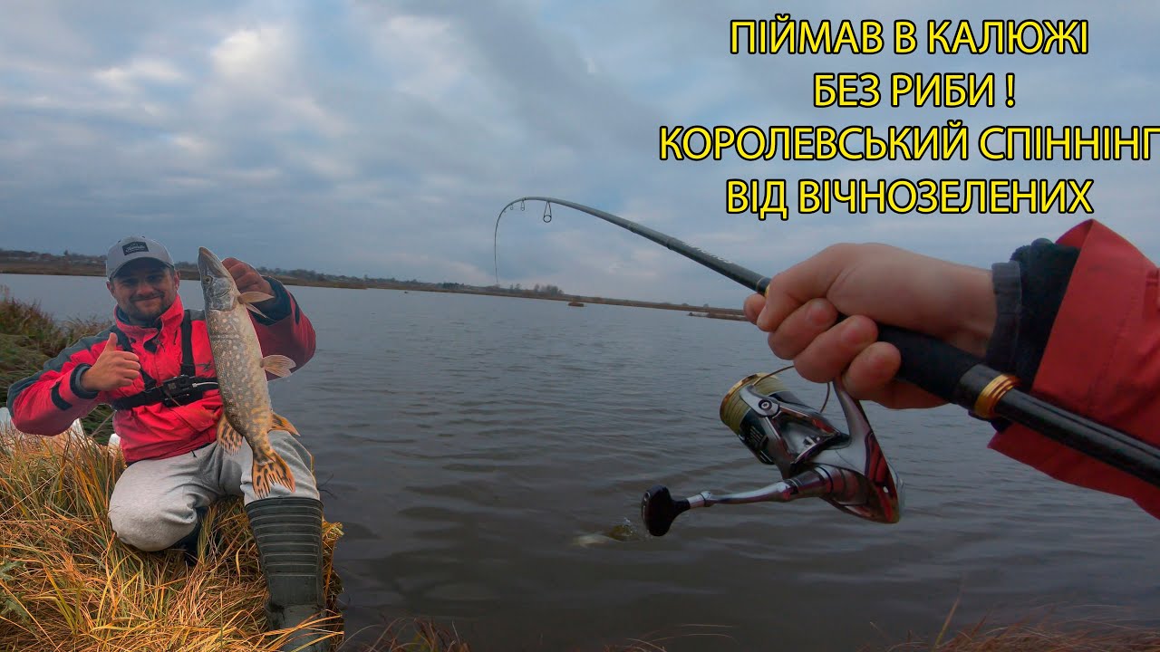 ПІЙМАВ В КАЛЮЖІ БЕЗ РИБИ ! Огляд на "Короля" EVERGREEN SQUIDLAW IMPERIAL NIMS-86M THE RAZOR KING