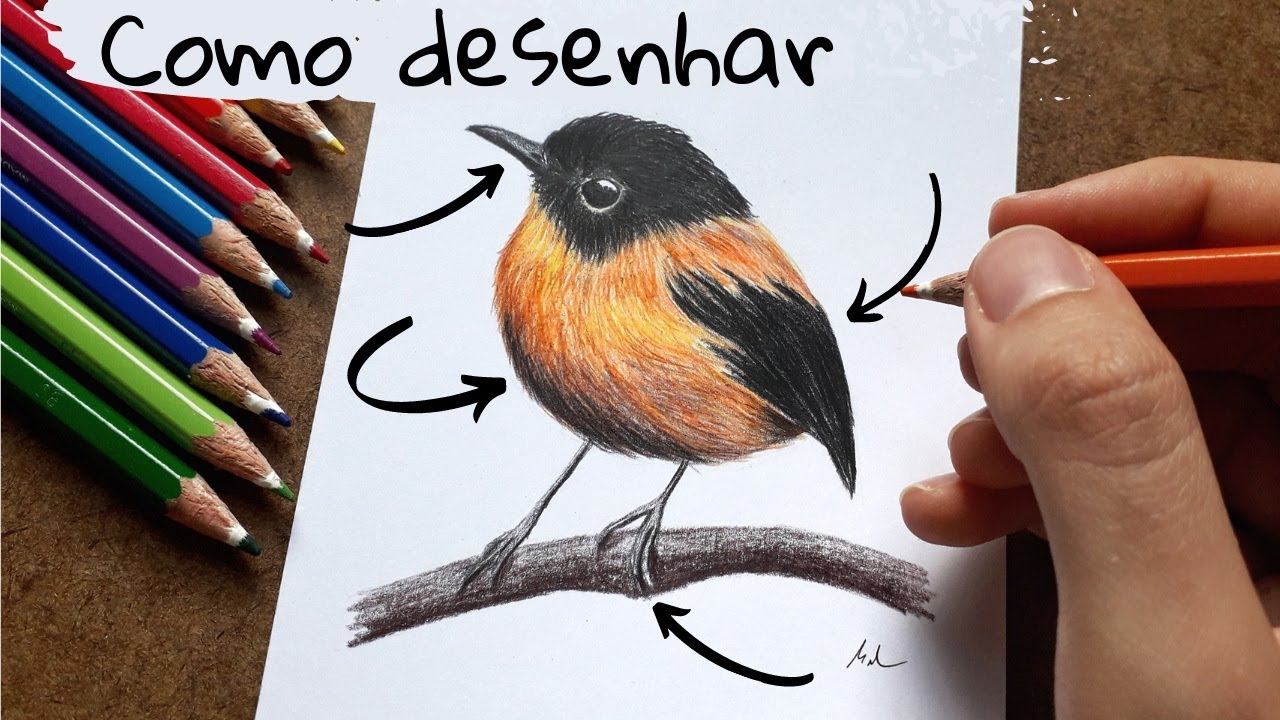 como desenhar um pássaro bonito passo a passo. coleção de