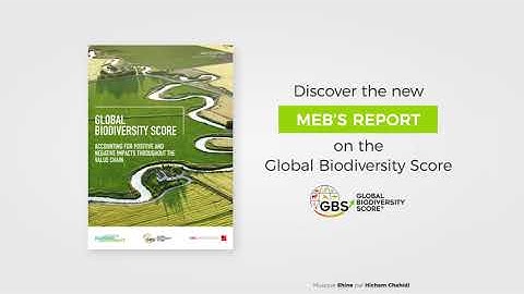 MEB | Publication of the report n°49 on the Global Biodiversity Score®