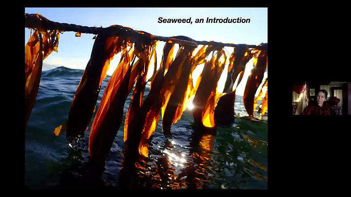 Seaweed Farming with  Sarah Redmond 2 26 21