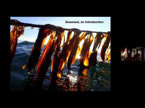 Seaweed Farming with Sarah Redmond 2 26 21