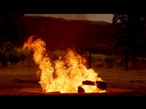 Testament - Native Blood zdarma vyzvánění ke stažení