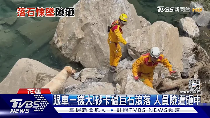 Fancy!回来!巨石滚落 消防.搜救犬急闪躲 ｜TVBS新闻 @TVBSNEWS01 - 天天要闻