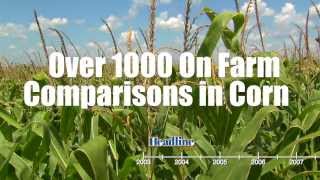 Ten Years of Fungicide Success