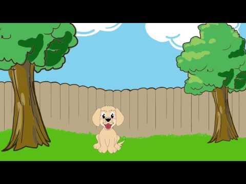 Pet Butler - America's Largest Pet Waste Clean Up Service