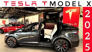 2025 Tesla Model X Performance in Stealth Grey | Exterior and Interior Visual Walkaround
