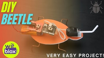 How to build a DIY Beetle using WitBlox || School Science Project