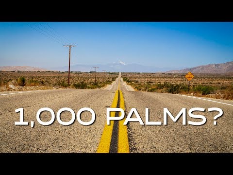A Thousand Palms ROAD TRIP!