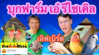 บุกฟาร์มเลี้ยงนก | เลิฟเบิร์ดไม่ขอบตา | Ep.05 ฟาร์มเอ๋รีไซเคิล