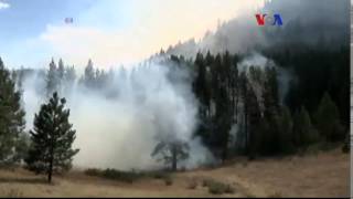 Abdnin Batısında Orman Yangınları Sürüyor