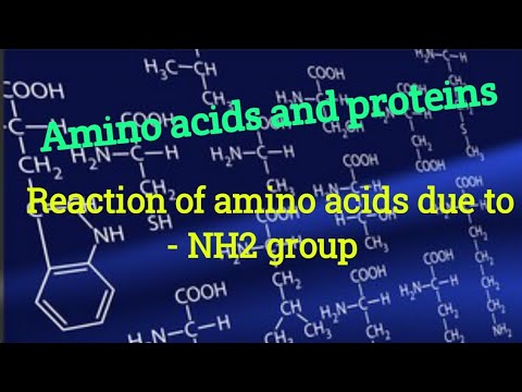 Chemical reactions of Amino acids due to - NH2 group