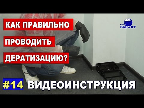 Как правильно проводить дератизацию? Уничтожение крыс и мышей. ВИДЕООБЗОР.