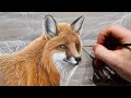 Realistic Red Fox | Acrylic Painting