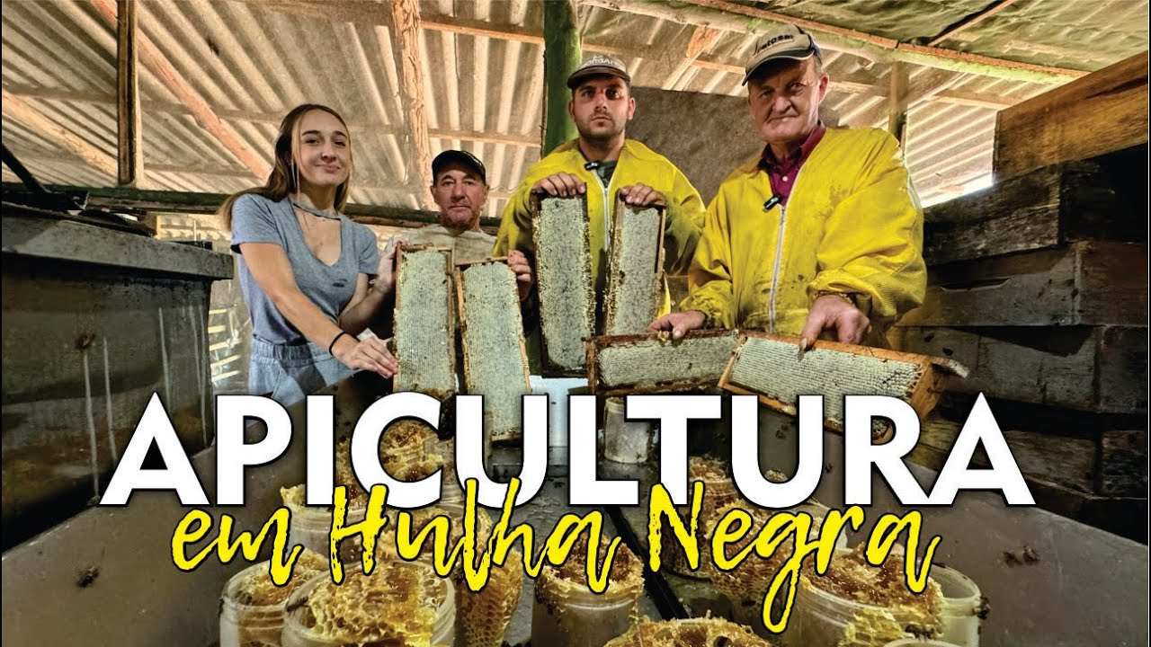 Apicultura - Interior de Hulha Negra se destaca pela diversidade produtiva