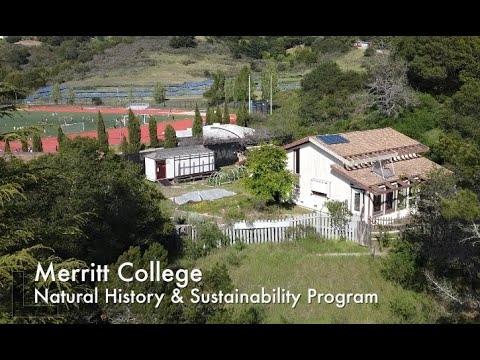 Merritt College: Natural History & Sustainability Program