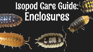 Isopod Care Guide Part 1: Enclosures