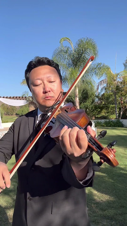 A little Mendelssohn Violin Concerto… #violin #violinist #classicalmusic #mendelssohn #violino