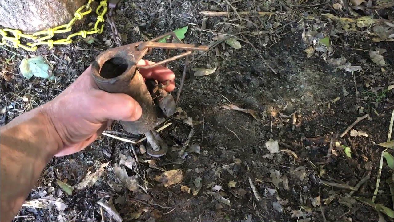 Dog Proof Raccoon Trap bait and setup YouTube
