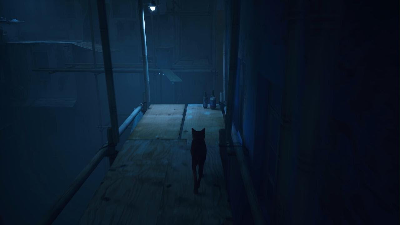 A vida de um gato no futur parte 2