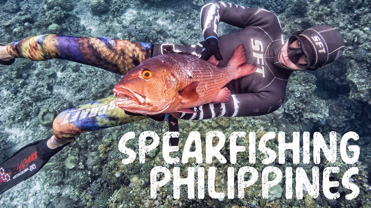 Spearfishing Philippines: Dreaming Big Fish 