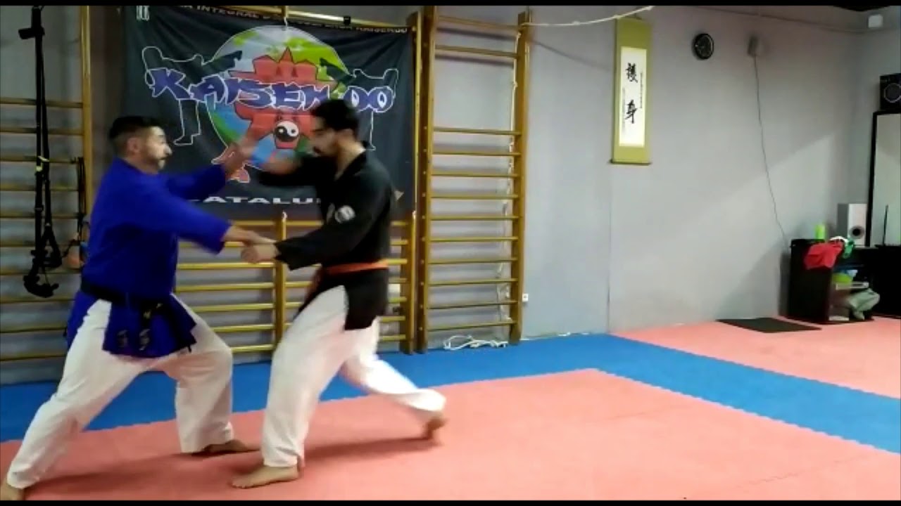 Defensa Personal Integral Kaisendo, Sensei Jorge Maya