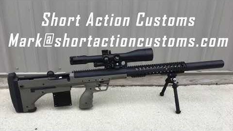 Short Action Customs: 223 bolt head detail
