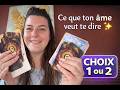 Ce que ton âme veux te dire ✨ - tirage à choix -