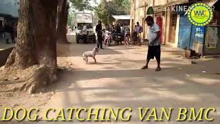 DOG CATCHING VAN BMC