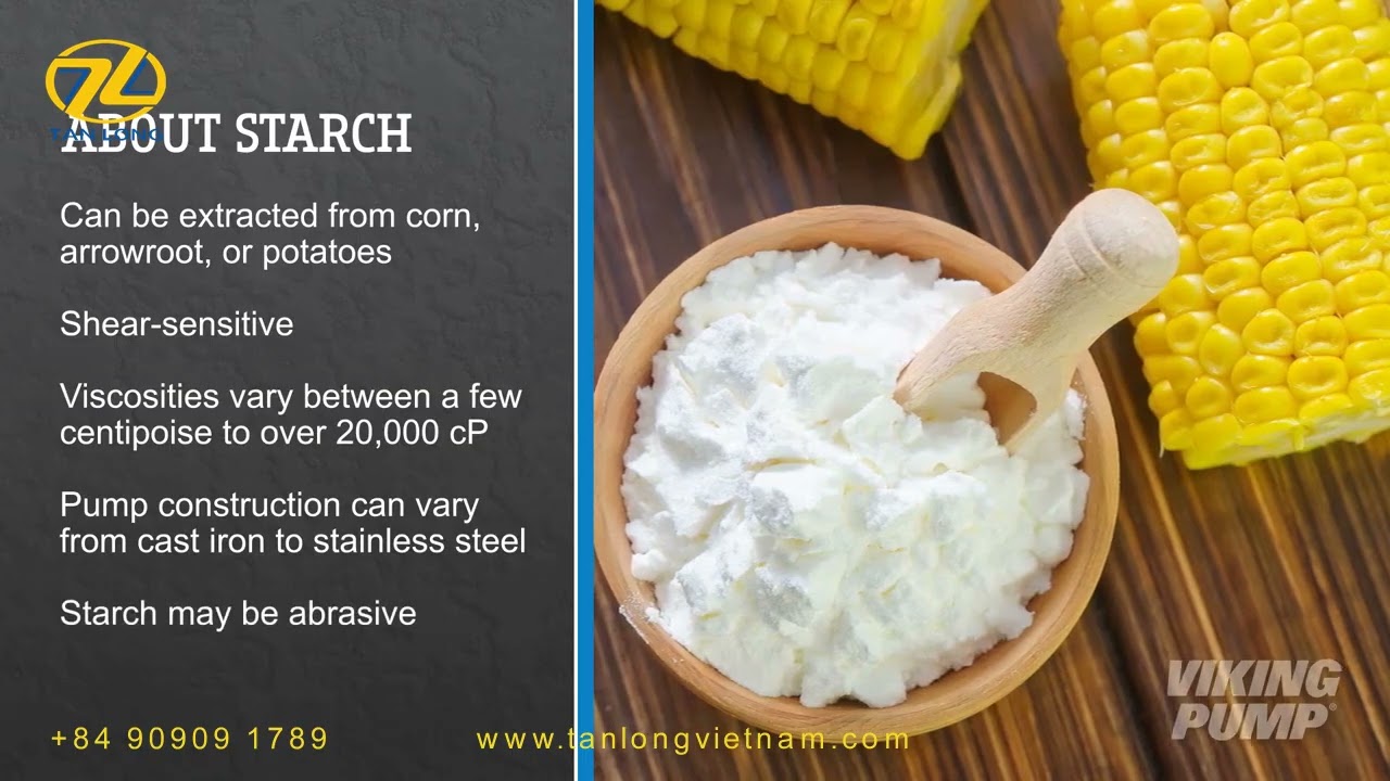 VIKING TRA10, 4624B, 1124A-BXB (MỸ) - BƠM TINH BỘT CHO NGÀNH THỰC PHẨM, DƯỢC PHẨM, GIẤY, DỆT MAY