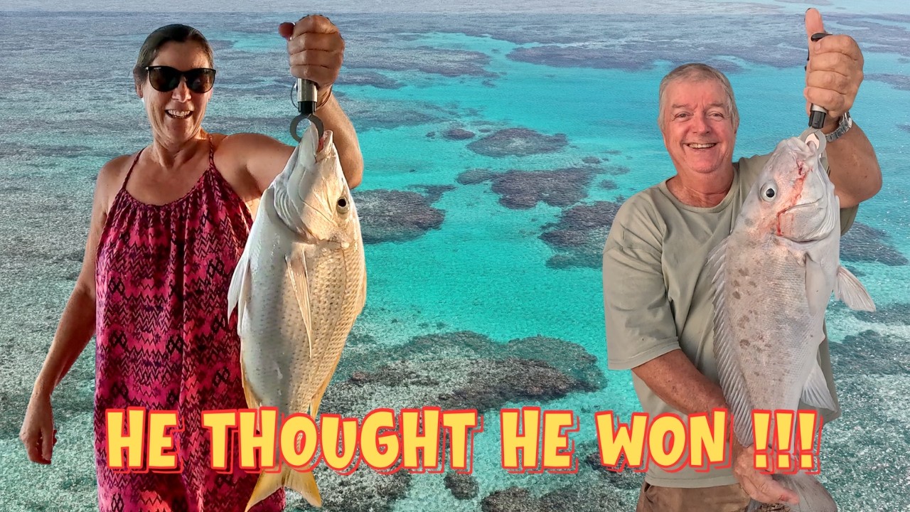 ⁣Exploring Butterfly Bay, Manta Bay & Hook Reef | Sailing the Great Barrier Reef The Whitsundays